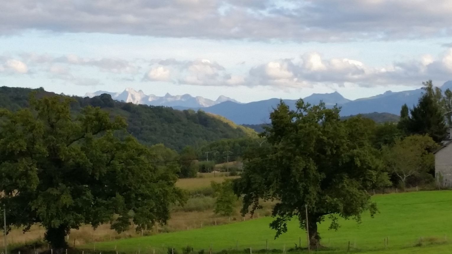 Gîtes de Bernet - Les Roses - MONEIN