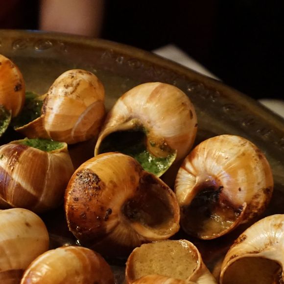 Escargolade - BONNUT