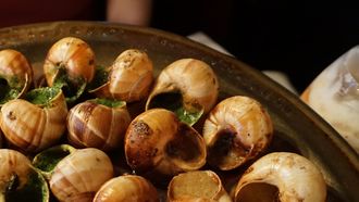 Escargolade - BONNUT