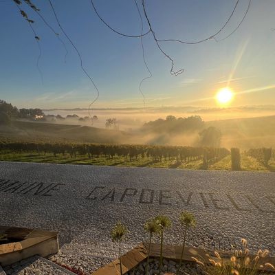 Domaine Capdevielle - MONEIN