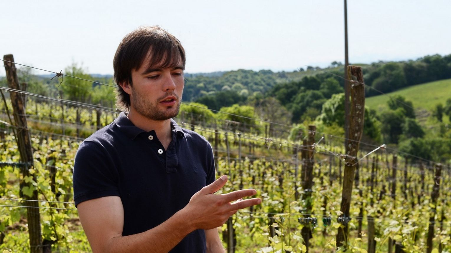 Domaine Larroudé - LUCQ-DE-BEARN