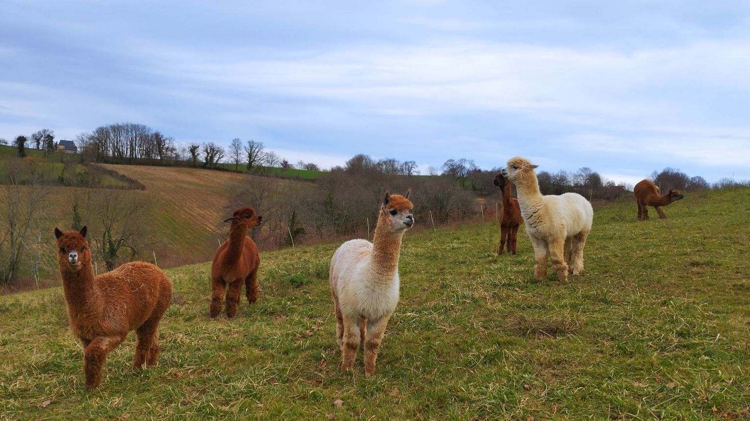 Ferme Pakucha - LUCQ-DE-BEARN