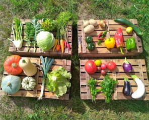 De ferme en ferme : La régalade - MONEIN