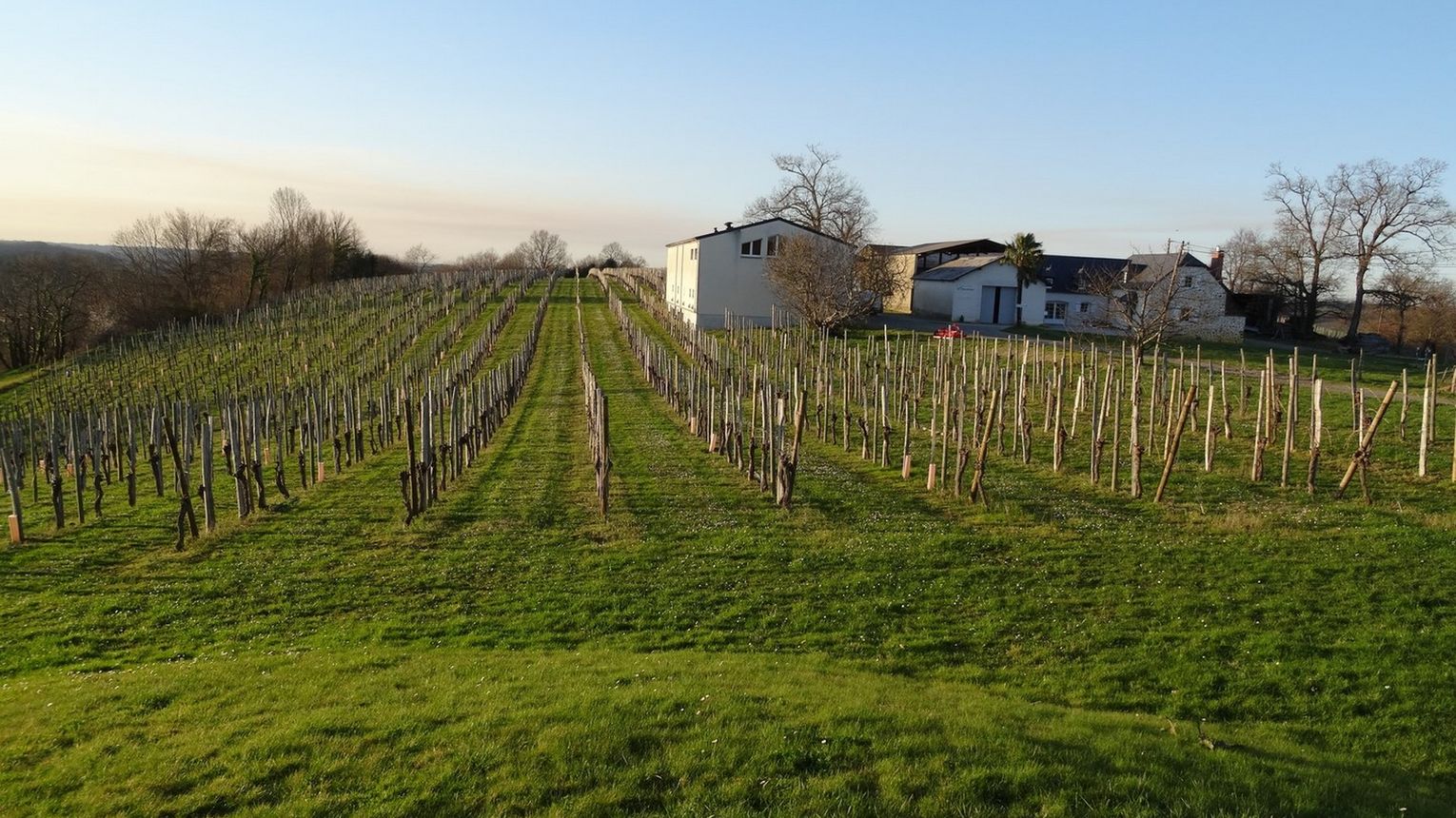 Domaine Montaut - MONEIN