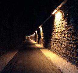 Visite au coeur de la nuit - BELLOCQ