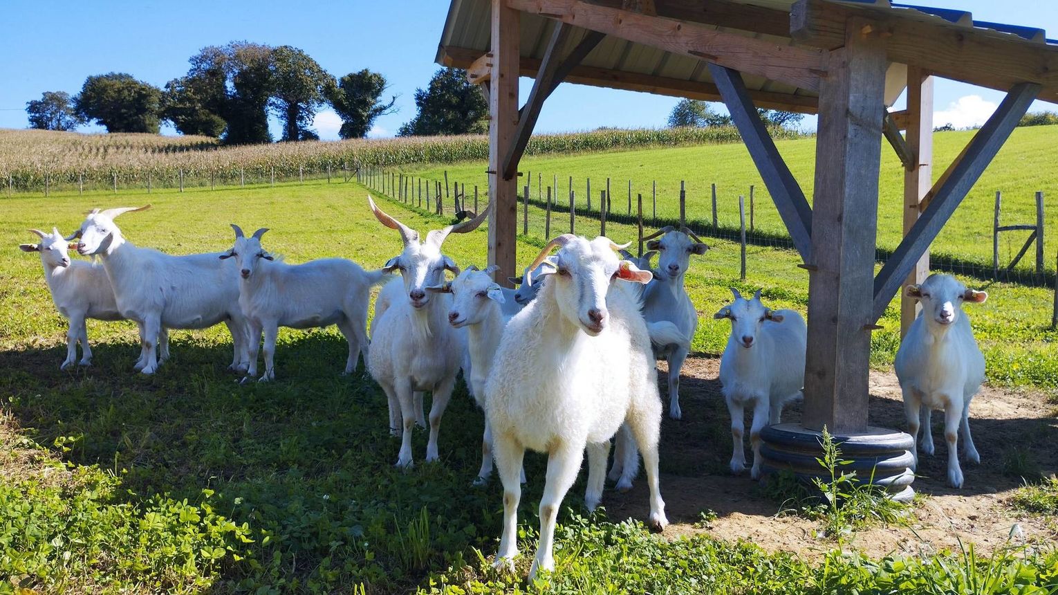 Ferme Pakucha - LUCQ-DE-BEARN