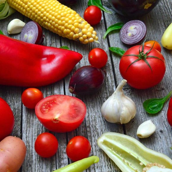 Conférence : Sécurité sociale de l'alimentation - MOURENX