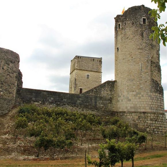 Journées du patrimoine : Découverte du Château et sa bastide - BELLOCQ