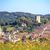 Journées du patrimoine : visite guidée "Orthez, cité médiévale" - ORTHEZ