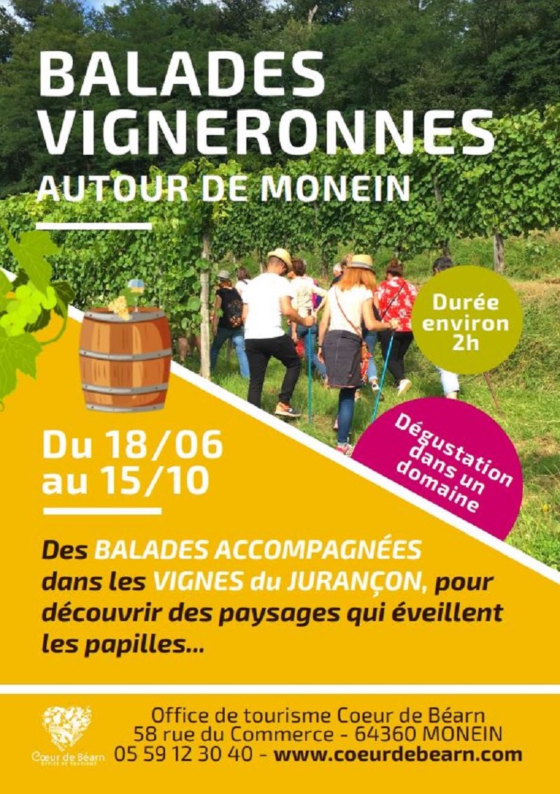 Balade vigneronne : Domaine Montaut - MONEIN