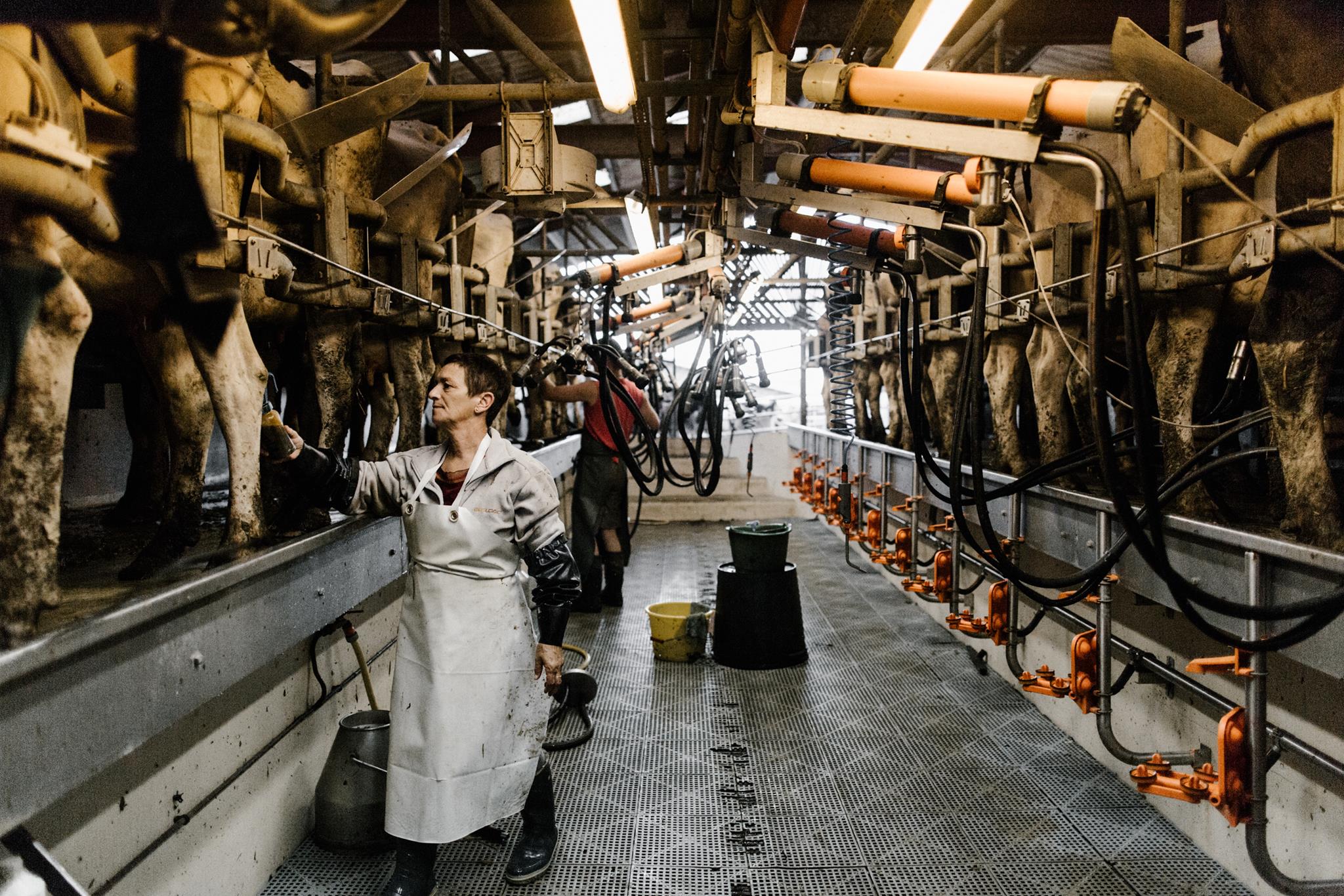 ANNULÉ - Rendez-vous à la ferme : Givrés des prés - CASTEIDE-CANDAU