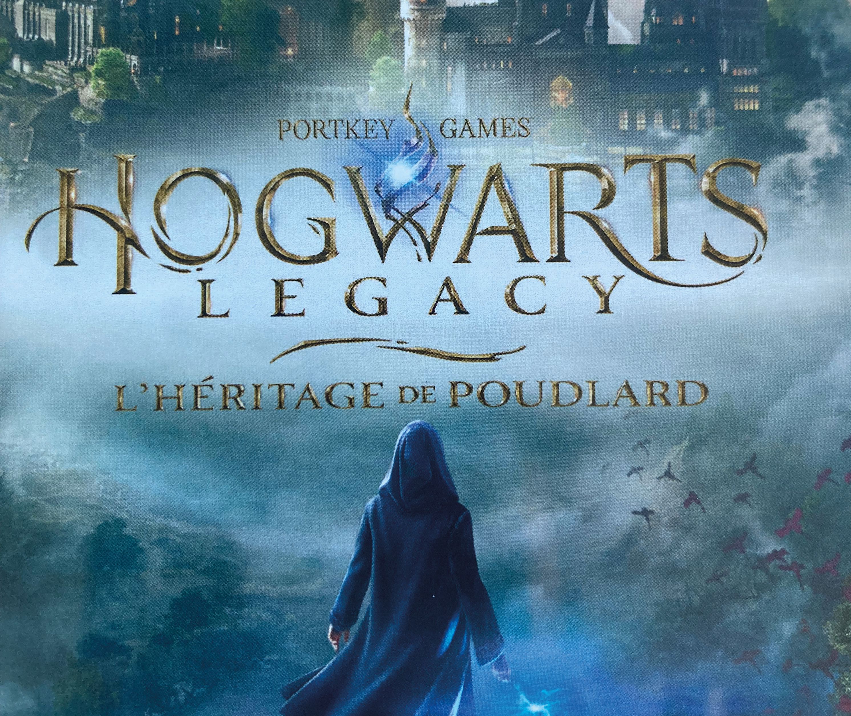 Pixel Play : L'univers Harry Potter dans le jeu vidéo - ORTHEZ