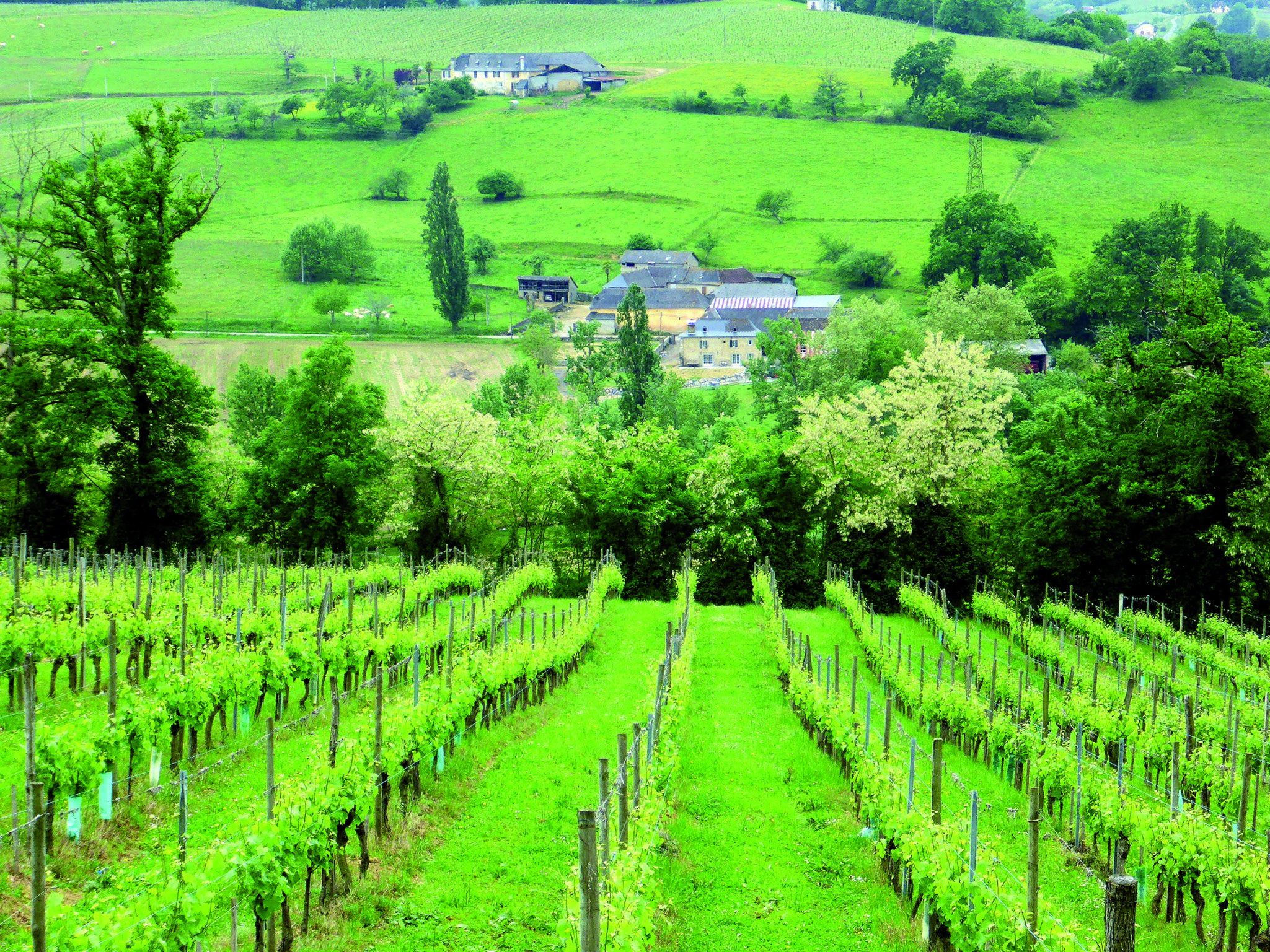 Evenement : Lacq-Orthez, terre de vin - MOURENX