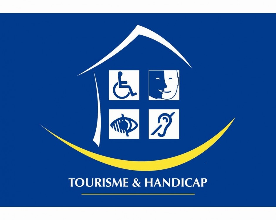 Handicap auditif, Handicap mental, Handicap moteur