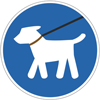 Animaux bienvenue Animaux bienvenue
