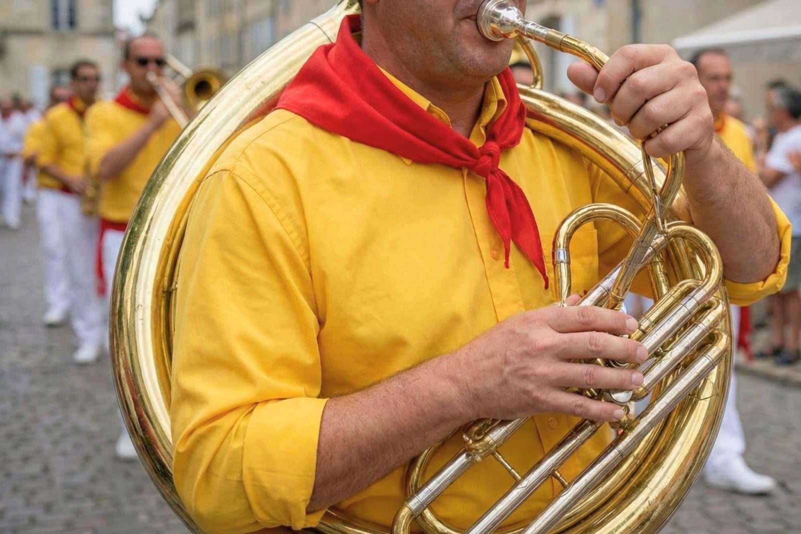 Les animations en cœur de Béarn