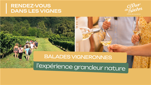 Balade vigneronne : Domaine Larroudé