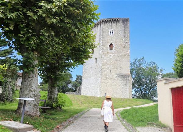 Chateau-moncade-orthez-entrée