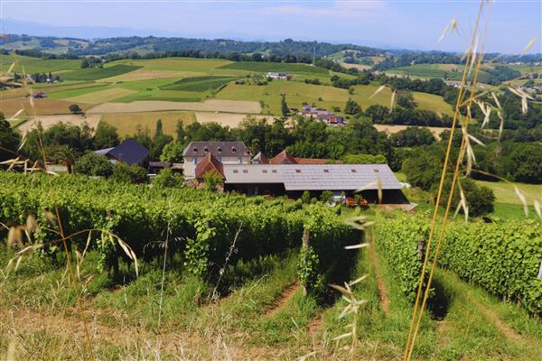 Domaine Peyrette vignoble jurancon cuqueron