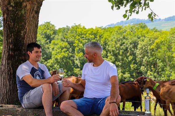 Clos bellevue vin jurançon ©ot coeurdebearn (12)