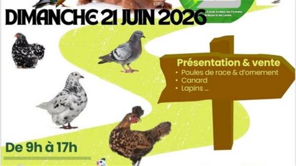 Présentation et vente