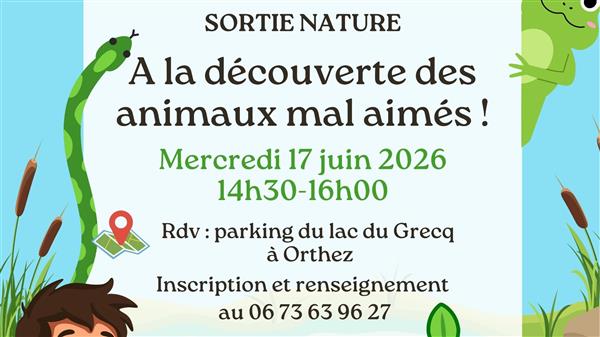 Sortie nature : Animaux mal aimés