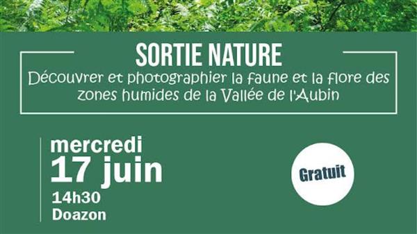 Sortie nature et photo
