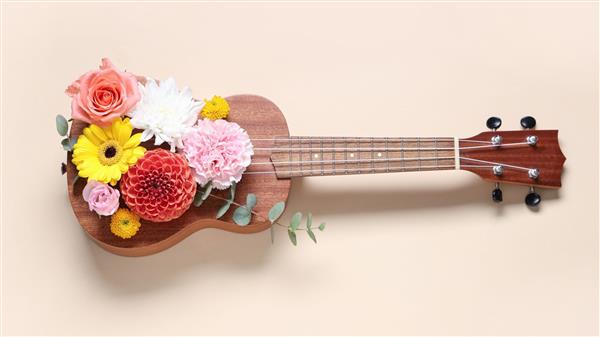 Concert : Soeurs Motu 