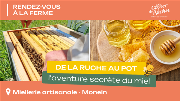 Rendez-vous à la ferme : De la ruche au pot