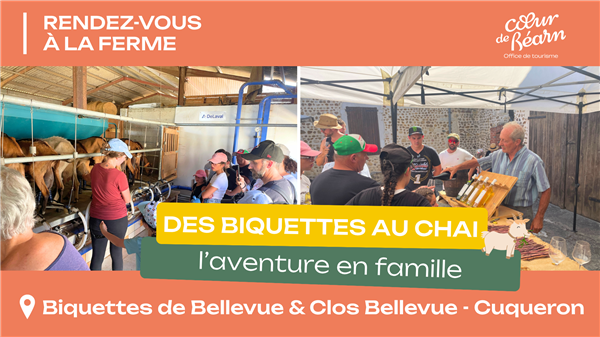 Rendez-vous à la ferme : Des biquettes au chai