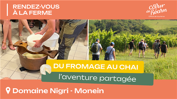 Rendez-vous à la ferme : Du fromage au chai