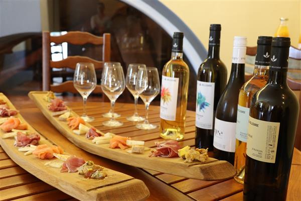 Domaine Bellegarde monein visite guidée©otcdb (21)