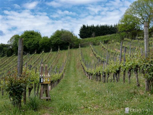 Domaine Larroudé