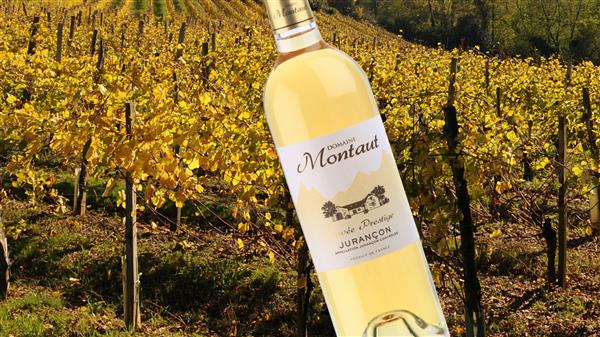 Domaine Montaut - bouteille