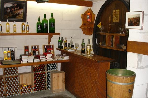 Domaine bru baché monein (2)