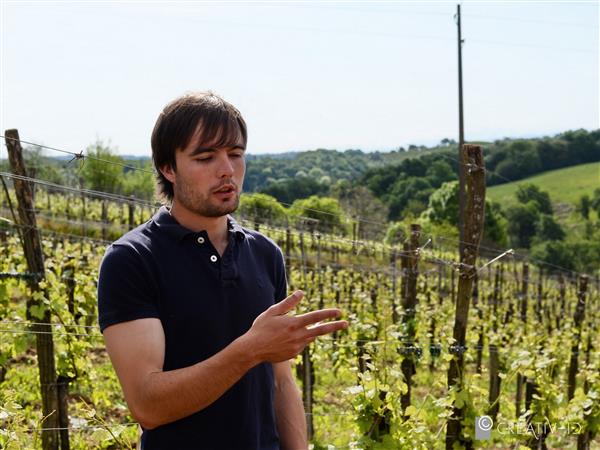 Domaine larroudé lucq de bearn (2)