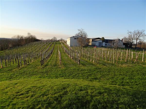 Domaine Montaut