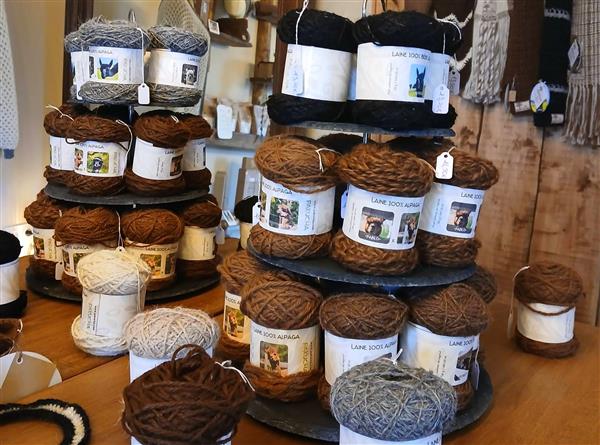 Ferme Pakucha - Pelotes