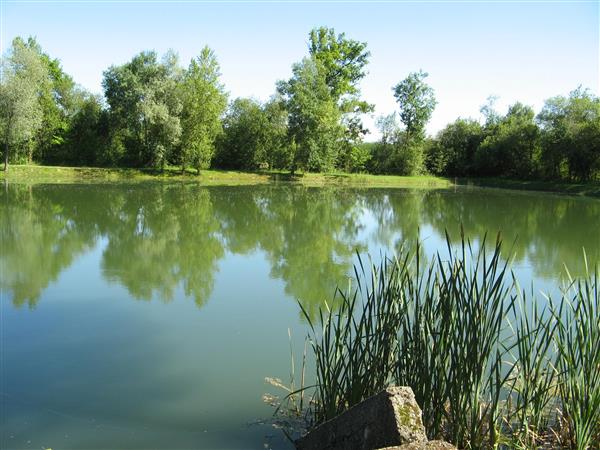 Lac d'abos lac peche bearn piquenique (2)