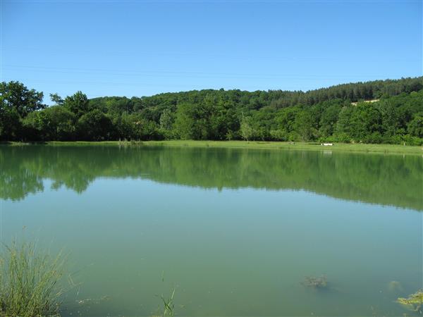 Lac d'abos lac peche bearn piquenique (3)