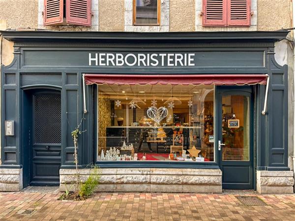 Maimer dans les orties - herboristerie orthez (3)