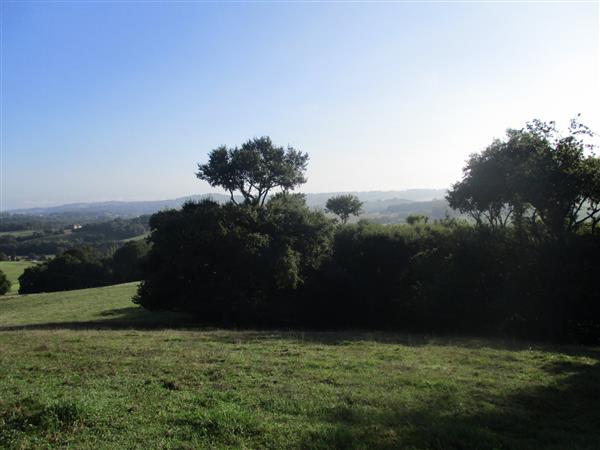 Maisonnette Aubagna2