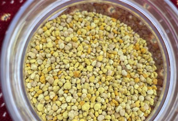 Mellifert argagnon producteur miel - graines