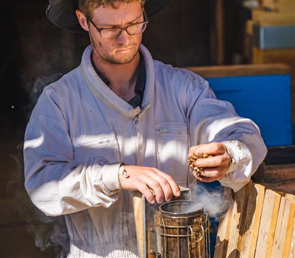 Mellifert argagnon producteur miel 