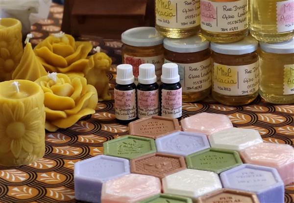 Miellerie Drougard-6