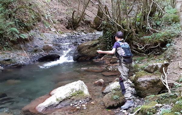 Le pêcheur Ô fil de l'eau