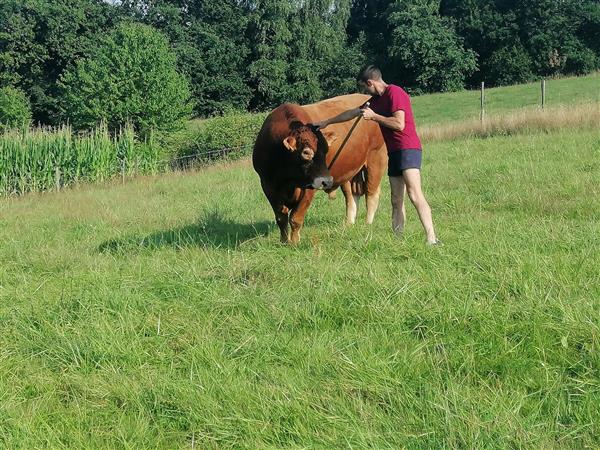 Ptits cuisines de castillon (9)