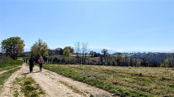 Rando monein entre bois et panorama (1)