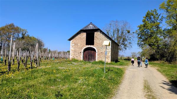 Rando monein entre bois et panorama (5)