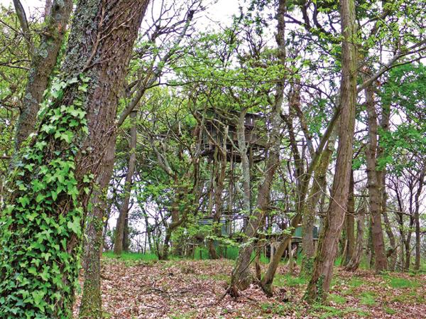 Bois et landes d'Urdès